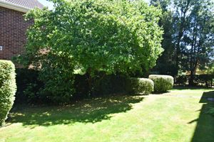 Photo 15- click for photo gallery